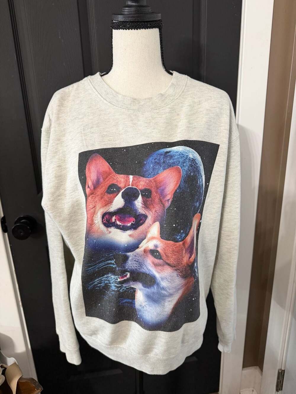 Delta Fleece Two Corgi Moon Cosmic Space Graphic Sweatshirt